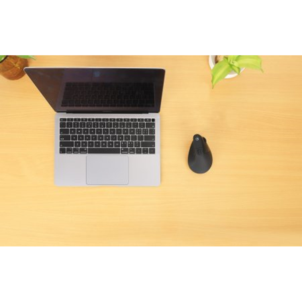 Vertical Ergonomic Wireless USB Mouse